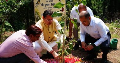 सीएम ने किया कृष्णा वट के पौधे का रोपण