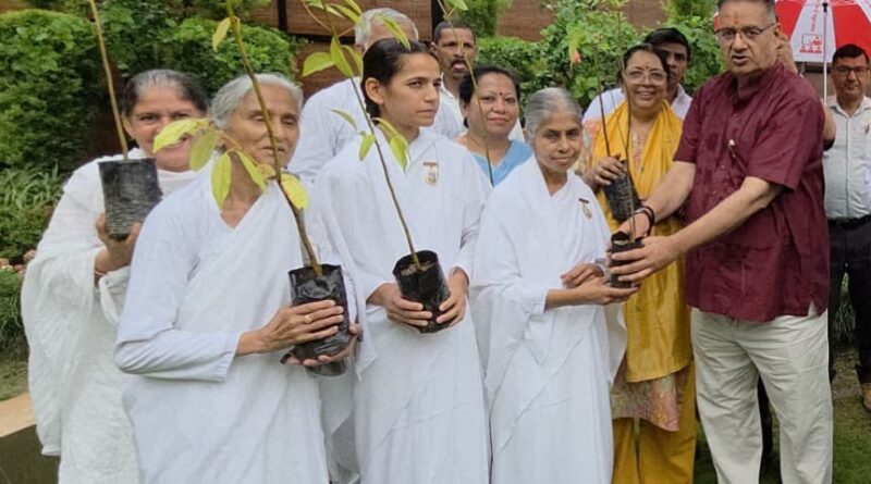 विश्व पर्यावरण दिवस पर कृषि मंत्री ने किया पौधारोपण