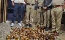 आबकारी विभाग की बड़ी कार्रवाई, बड़ी मात्रा में अवैध शराब बरामद