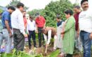 लोकपर्व हरेला के अवसर पर कृषि मंत्री ने किया वृक्षारोपण