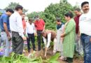 लोकपर्व हरेला के अवसर पर कृषि मंत्री ने किया वृक्षारोपण