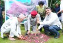 राज्यपाल ने की पौधरोपण अभियान की सराहना