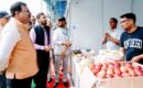 मुख्य सचिव ने किया नाबार्ड द्वारा आयोजित सेब महोत्सव 3.0 का शुभारम्भ