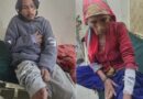भालू ने हमला कर  एक ही परिवार के चार लोगों को  किया घायल