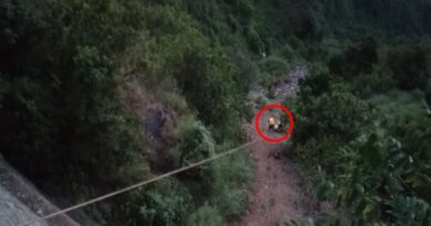 गहरी खाई में गिरी कार,एक की मौत,दो गंभीर