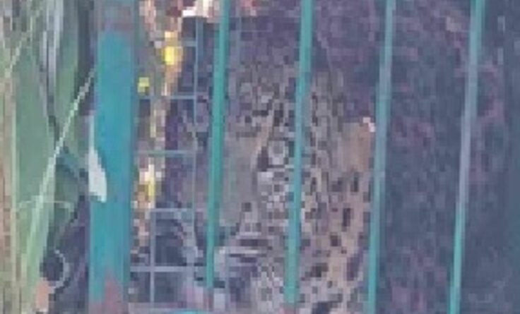 ईडा मल्ला गांव में गुलदार पिंजरे में कैद,ग्रामीणों ने ली राहत की सांस
